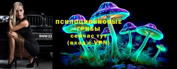 ПСИЛОЦИБИНОВЫЕ ГРИБЫ Аркадак