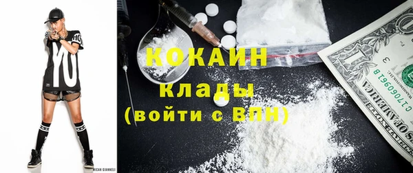 ПСИЛОЦИБИНОВЫЕ ГРИБЫ Аркадак
