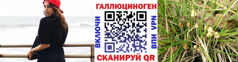 Галлюциногенные грибы ЛСД цена Полевской